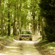 Illustration for article titled Goodwood Photo Goodness